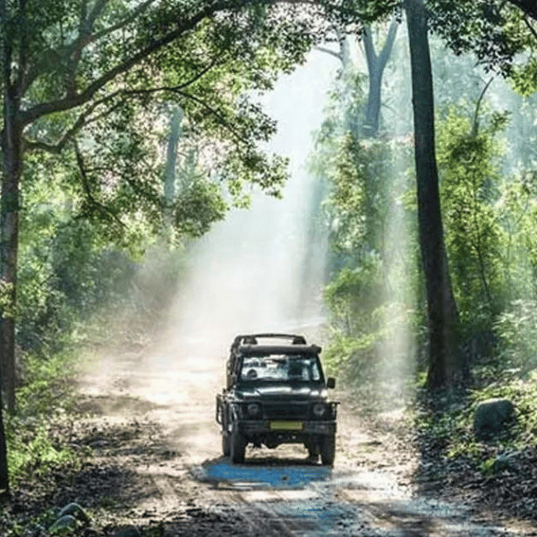 Jim Corbett National Park